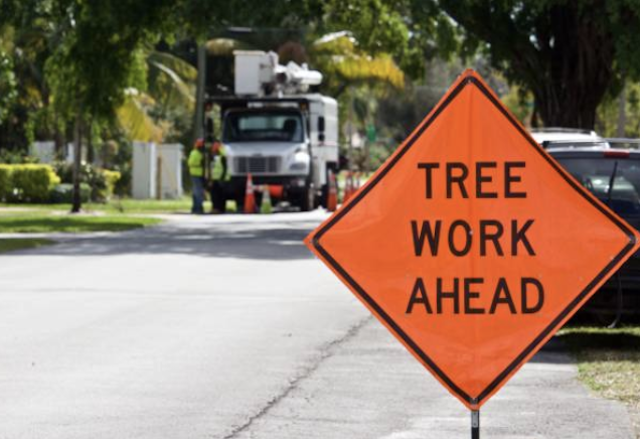 tree removal North Scituate ma