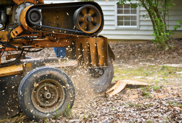 stump grinding plymouth ma